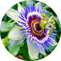 MicrosoftTeams-image (16) MicrosoftTeams-image (16)